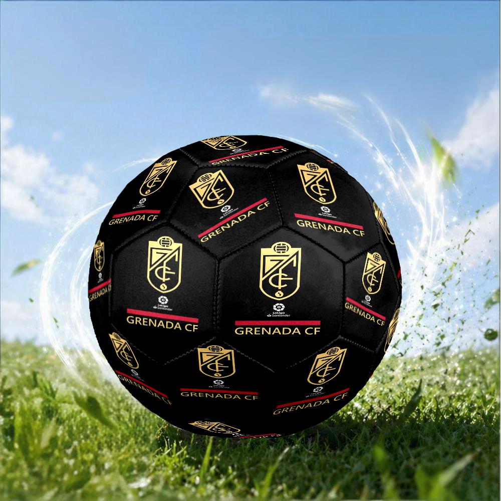 Global Unity And Strength Size 5 Soccer Ball,Indoor/Outdoor Suitable for Training Matches Tournaments Practice Games Perfect Gift for Fan