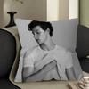S-Shawn-Mendes Pop-Melodic Office Cushion Pillowcase Car Cushion Cover45X45CM Lumbar Pillowcase Sofa Pillowcover