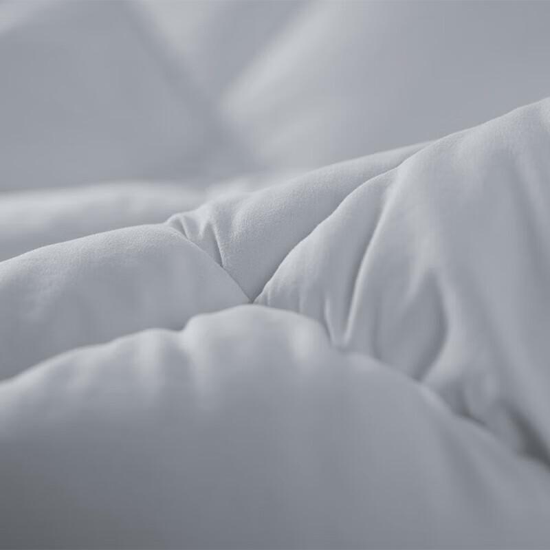 

Mengjie 5°C Thermal Smart SPA All-Season Quilt