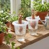 Transparent Plastic Hydroponic Mesh Cups Root View Cups Plant Propagation Clear Hydroponic Pots Flowerpot Vegetable Nursery