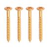 20 Electric Guitar Neck Plate Screws for Fender Strat and Tele