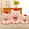 Cute Hooded Pig Plush Toy - Realistic and Fun Pig Doll Gift