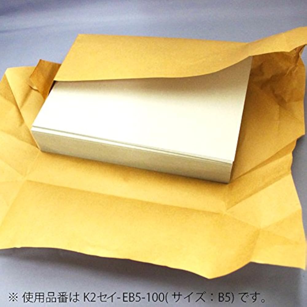 Kokuyo File Paperboard Cover K2 A3 100 Sheets K2 Sei-EA3-100