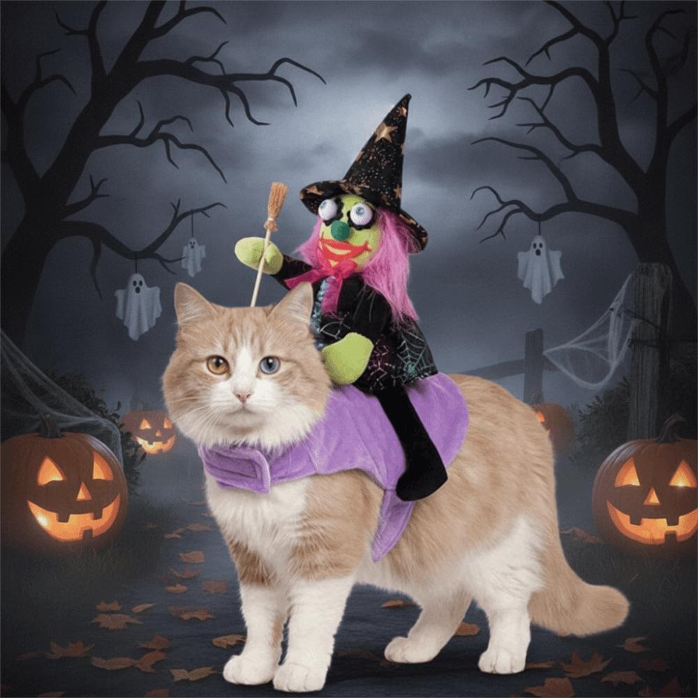 Adjustable Chest Strap Wizard Riding Dog Clothes 3D Doll Halloween Pet Dress UP for Pet Party
