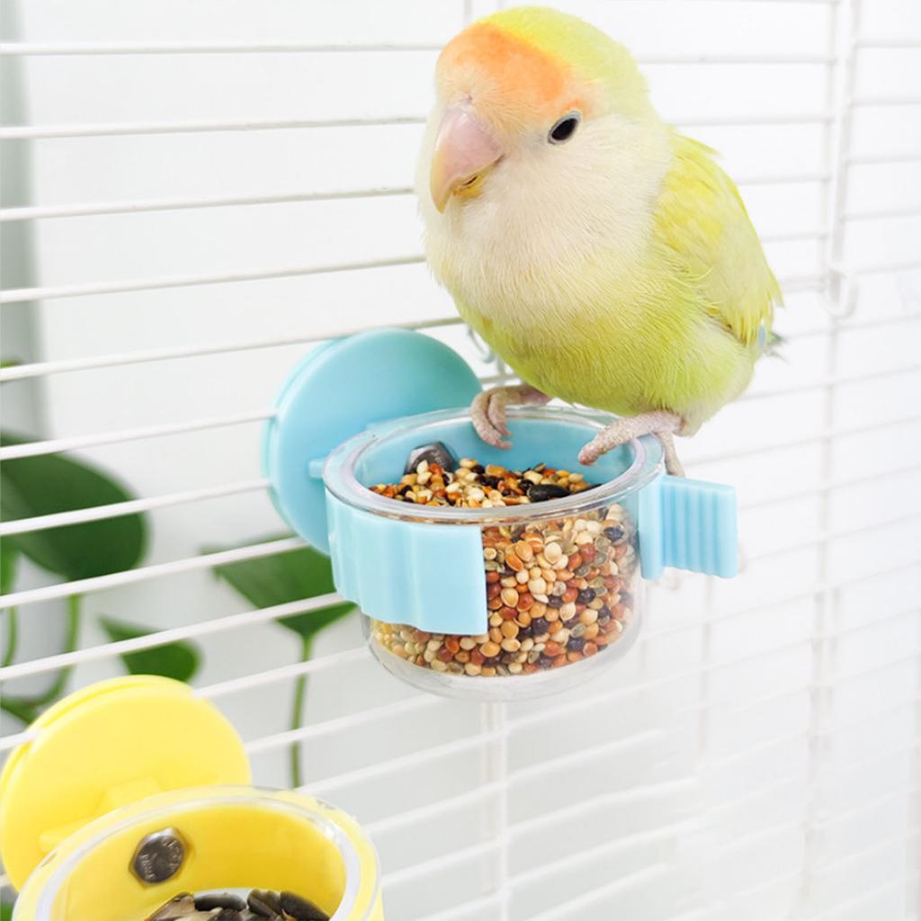 2 Piezas Duraderos Cuencos para Pájaros de PET Taza para Alimentar con Clips Para Cacatúas Periquitos Guacamayos Pinzones Agapornis Animales Pequeños
