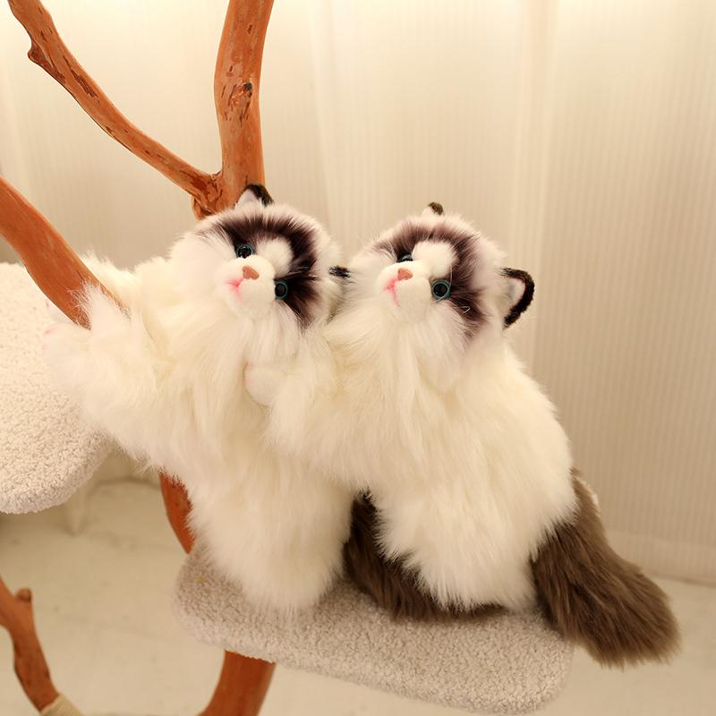 Søt Simulering Plysj Klutdukke Katteleke Myk Tegneserie Kosedyr Fluffy Hjemmedekor Gaver Til Jente