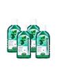 Dentiste Natural Oral Rinse 450ml X 4