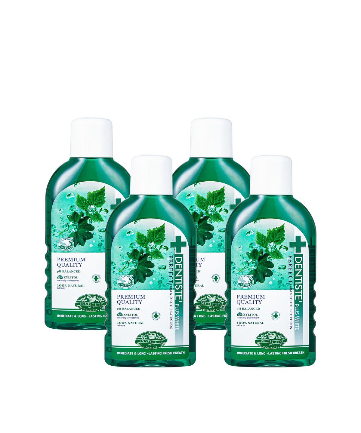 Dentiste Natural Oral Rinse 450ml x 4