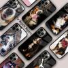 Telefon kapları – Smartphone Bumper Kılıflar