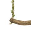 Parrot Swing Toy Bird Swing Bridge Toy Wood Perch Training Stand Stick Holder for Parakeets Ladder Swing Supplies