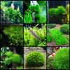 Accessories Non-rust Wire Mesh Pad Aquarium Plant Net Water Grass Pad Moss Plants Fixing Holder