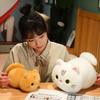 25-50CM Cartoon Kawaii Cat Stuffed Animal Plush Toy Lovely Cat Doll Children's Sleep Pillow Christmas Kawaii Decorative Gifts