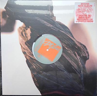 Disque LP PIXIES - The Night The Zombies Came 964051361 BMG 2024 Monde Rock