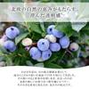 [Official] Wakasa Seikatsu MELUMO Focus Eye Serum, Eye Care, Under-Eye Bag Relief, Eyelid Care, 15g