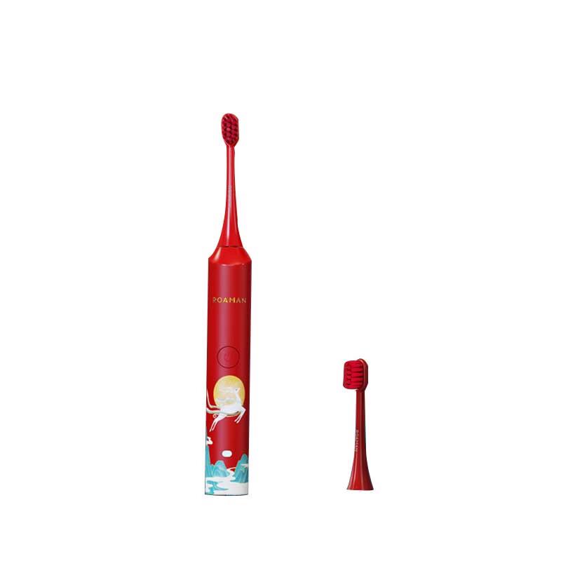 ROAMAN G10 Electric Toothbrush