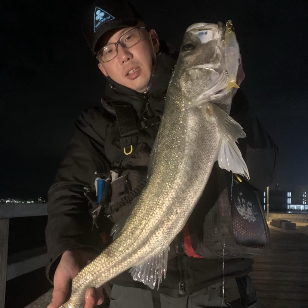 TREFLE CREATION MIRAGE JT 128S Clear Pearl Horse Mackerel 28g Jointed Lure