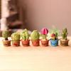 5Pcs Miniature Plant In Pot For Dollhouse Furniture Decoration Home