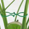 Plant Support Clips for Climbing Plants Reusable Gentle Plant Ties Garden Vine Support Clips for Indoor Outdoor Gardening or Plant Organization