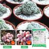 Perlite Bulk for Gardening Horticultural Potting Soil Indoor Plant Perlite Insulation Hydroponics Plant Starting Landscaping