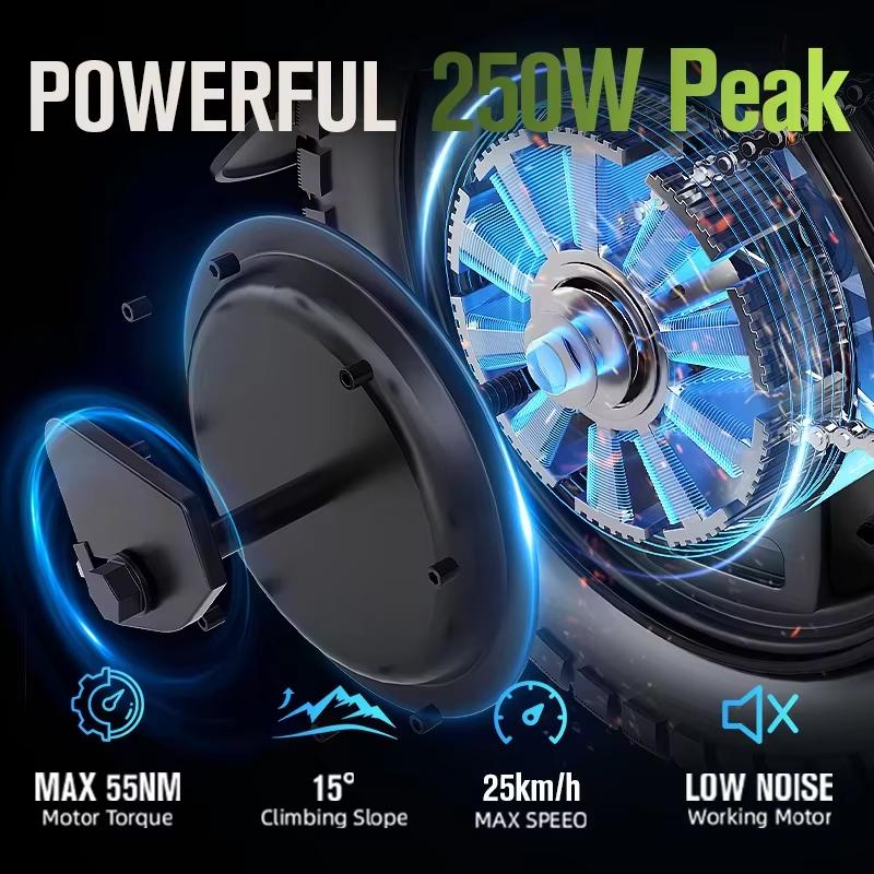 TOOFLY GE5 Rower Elektryczny Silnik 250W Bateria Litowa 48V15AH Rower Elektryczny dla Dorosłych Opona 14-calowa Rower Elektryczny Miejski Składany Mini