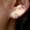 Round Center Stone Mixed Cut Double Halo Flower Stud Earrings Elegant Women Daily Party Jewelry