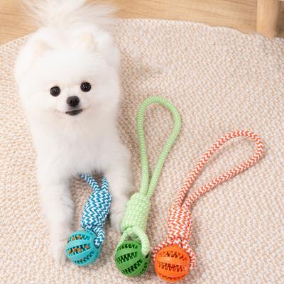 Dog Ball Toy with Rope Interactive Interactive Leaking Balls for Small Medium Dogs Chewing Bite Resistant Pet Tooth Cleaning