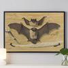 Vintage Spider Antique Bat Raven Moth Butterfly Gothic Art Poster Canvas Painting Wall Prints Picture Dark Academia Decoration