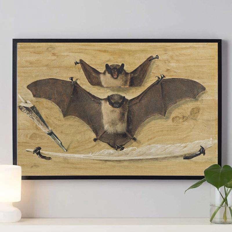 Vintage Spider Antique Bat Raven Moth Butterfly Gothic Art Poster Canvas Painting Wall Prints Picture Dark Academia Decoration