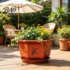 Frost Resistant Flower Pots for Winter Hexagonal Pot with Drainage Holes & Saucer Indoor Outdoor Plants, Durable Weather Modern Architectural