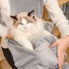 Fleece Lined Cats Petting Aprons with Warm Fleece Lining and Regulable Straps for Enhances Comfortable In Cold Weather HX6C