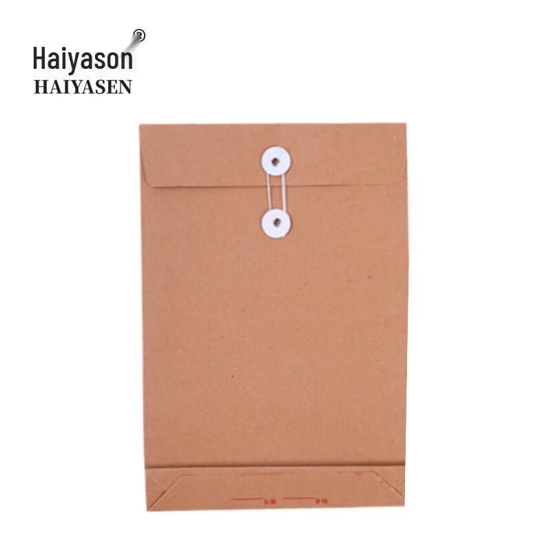 Haiyason TK-9300 Kraft File Bags