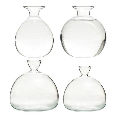 Transparent Glass Vase Avocado Seed Starters Vase Seed Growing Kit Avocado Vase For Growing Gift For Gardening Lovers Home Decor