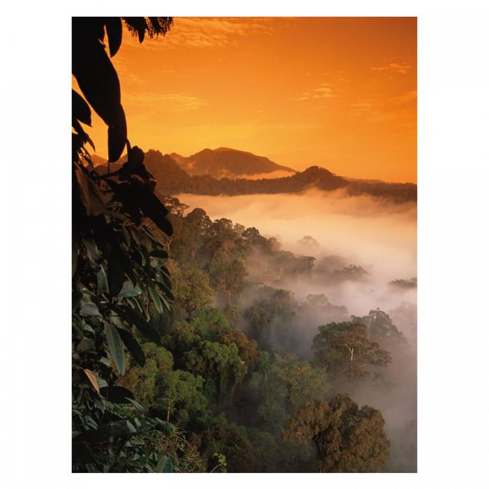 Nick Garbutt Borneo Sunrise Print