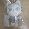 [USED] Aespa Fanlight Doll Key Ring Silver Version Gisele