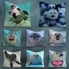 Cute Funny Animal Seal Sea Pillowcase for Sofa Room Office Decor Printing  Merchandise AllMatch Cushion Cover
