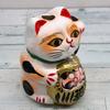 Takasaki Daruma 20cm In for Financial Luck and Prosperity for Good Fortune and Traditional for Fulfilling for Business Rare Auspicious Japanese-made