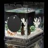 Acrylic Fish Training Mirror Decorative Fish Playing Mirror Fish Tank Floating Mirror  Playing