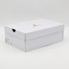 FJ3453-200 Nike Air Jordan 1 Low SE Legend Medium Brown Sail Legend (Women's)