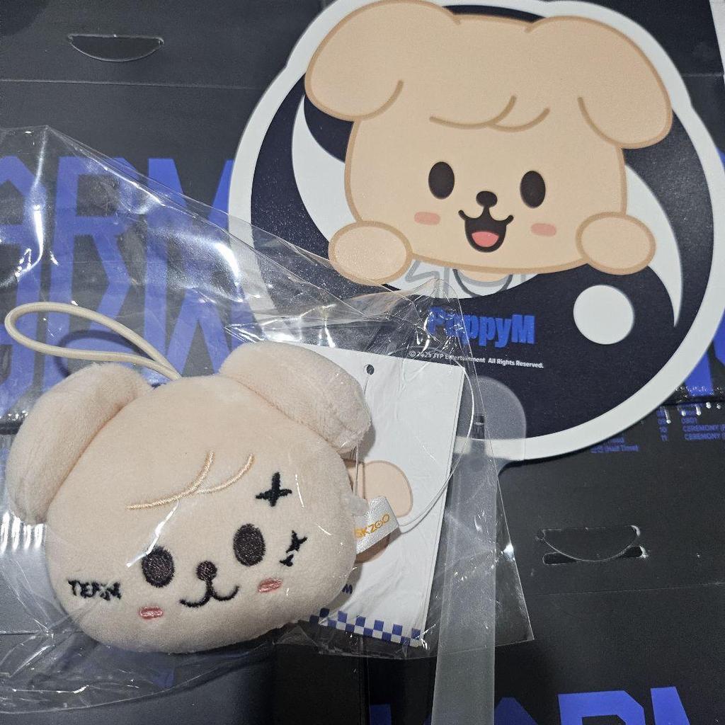[USED] SEUNGMIN SKIZ KARMA Pop-up Name Tag Bonus Fan