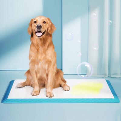 20/40/50/100er-Pack Ultra-Saugfähige Haustier-Windelunterlagen für Hunde & Katzen Geruchskontrolle Welpen-Urinpads Einweg-Katzentoilette-Lösungen