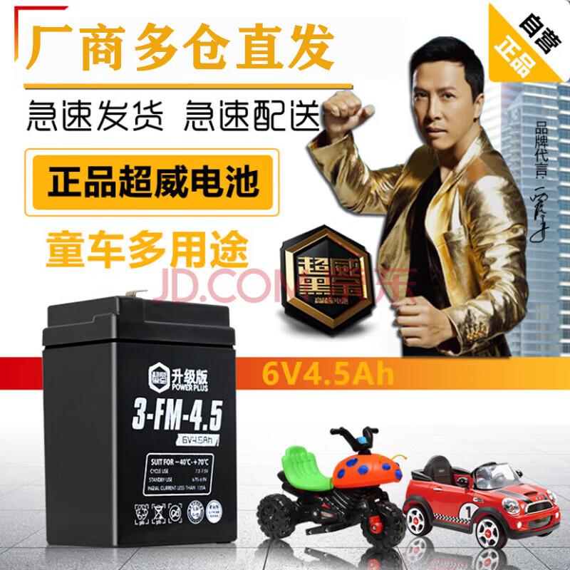 Chao Wei 6V 4.5Ah Children s Vehicle Battery