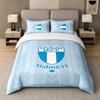 3Pcs Bedding SetMalmö FF Soft Bed Sheet and Two Pillowcases Home Bedroom Decor