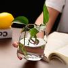 Simple Modern Glass Flower Vase Home Decoration Hydroponic Plant Bottle Desktop Decoration for Wedding Reception Family
