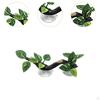 Climb Tree Branch Decor Gecko Plant Ornament with Suction Cup Decorative Geckos Snake Background