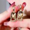 New Exquisite Geometric Brown Zircon Earrings for Women Fashionable Personalized Daily Accessories Party Jewelry Birthday Gifts