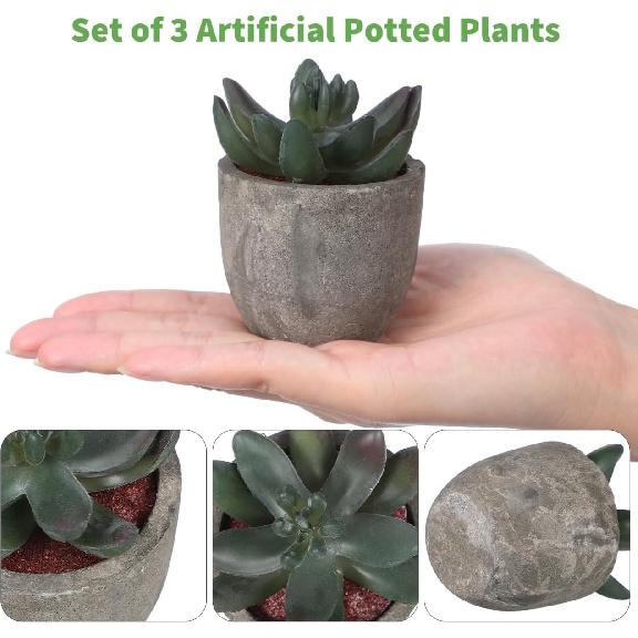 DOITOOL 3 Pcs Fake Succulents Potted Realistic Artificial Succulent Plants In Pots for Bathroom Home Office Table Decoration