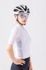 Altarist HAYATE R2 R Photochromic Lenses Clear Gray Temple Silver Mirror [ALTALIST] (Hayate Two) (Glossy Lens)