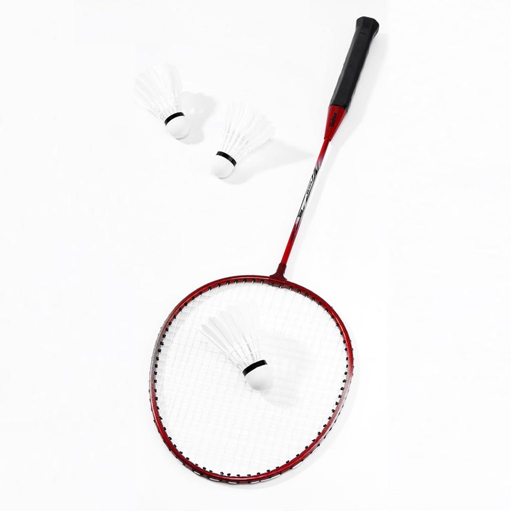 YZP Badminton Racket Set, Double Racket, Lightweight, Sturdy, Beginner, Carrying Bag Included, Adults, Children
