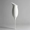 Dispositivo Auto-Irrigante a Forma di Calice da Vino per Promuovere l'Assorbimento delle Radici Piante in Vaso da Interno Strumenti di Irrigazione Automatici