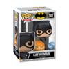 Catwoman Figure Funko DC Comics 2024 Q2 CATWOMAN DC SUPER HEROES Funko (WITH PUMPKIN)